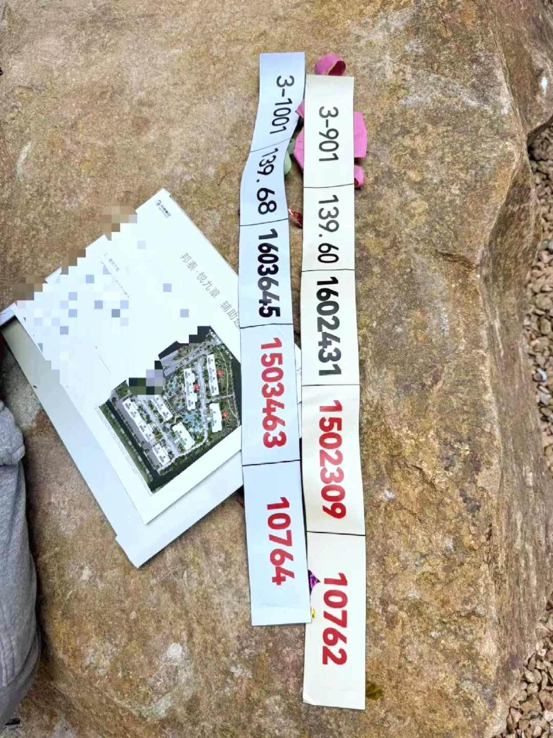 悦九章开盘价格，大家觉得怎么怎么样？