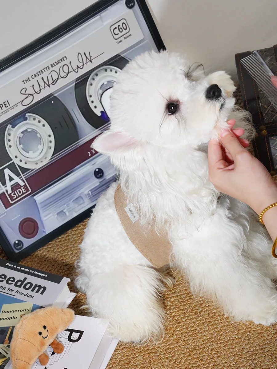 下期试穿官选这个胸背怎么样？