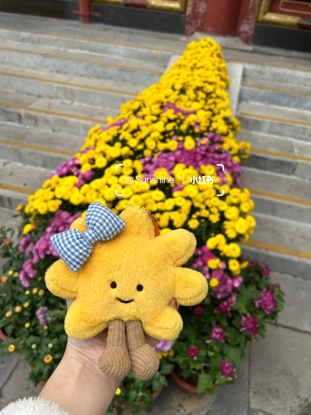 妈妈问我为什么最近不emo了…