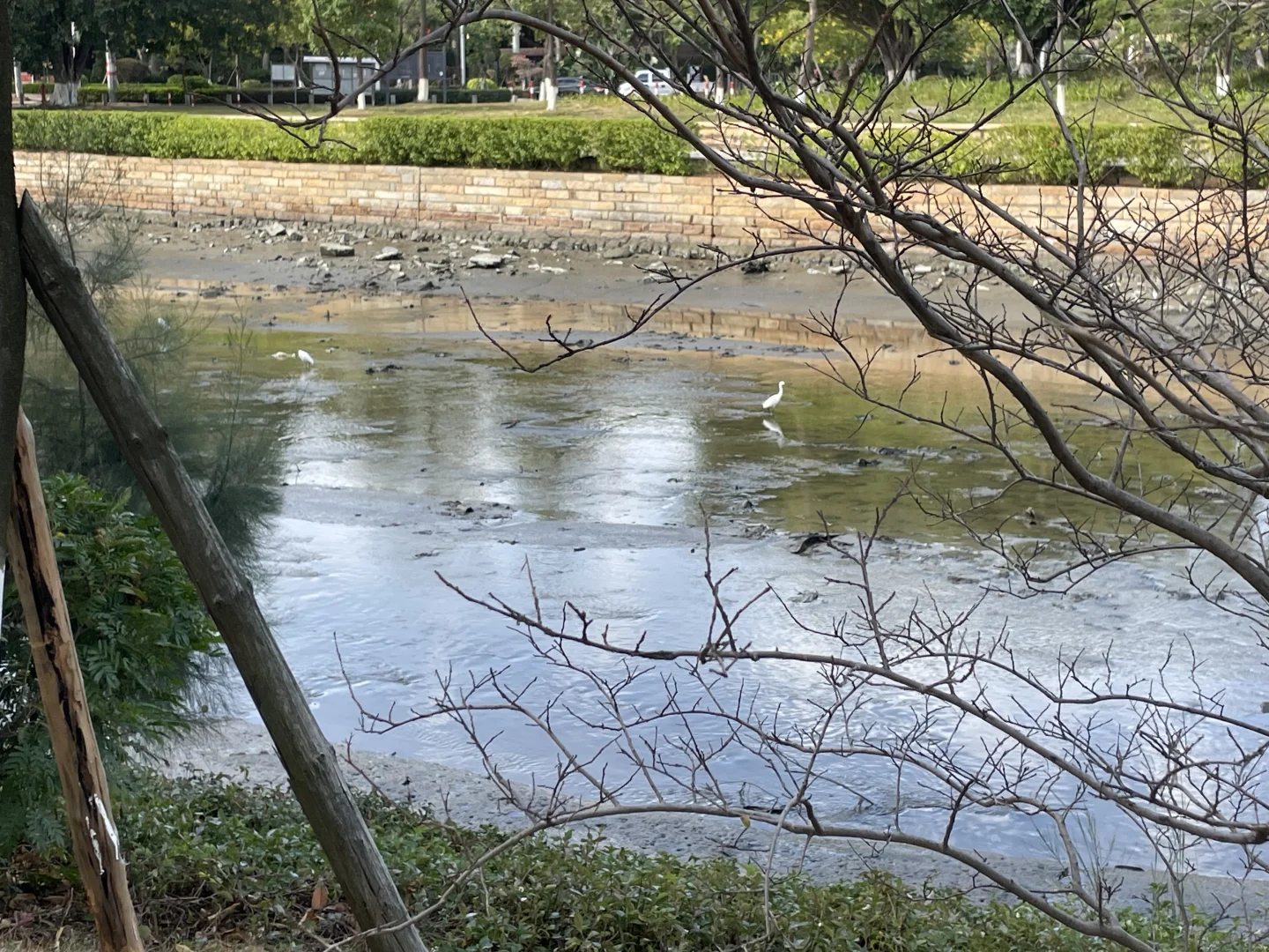 五里桥风景，怎么样，有没有一股画中诗的感觉