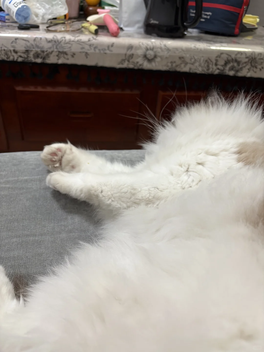 算了你肯定觉得没意思