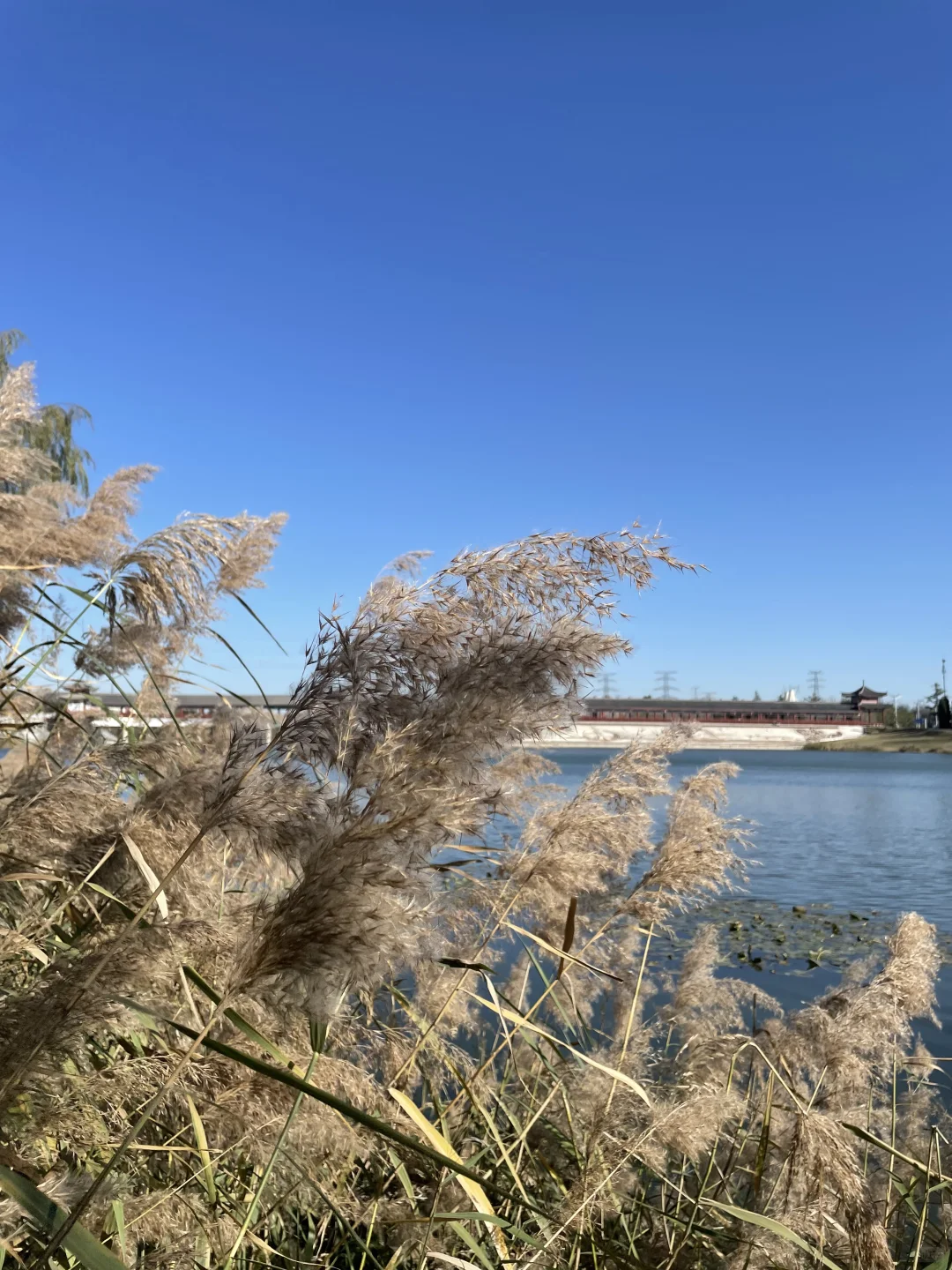 你为什么总是解释自己?