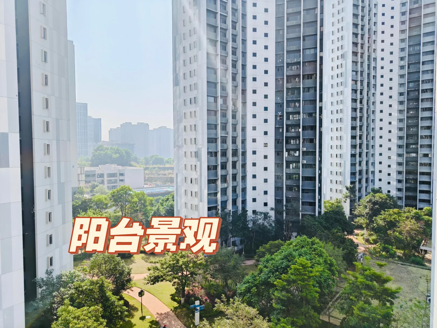 今日知识城来看房，这个小区怎么样