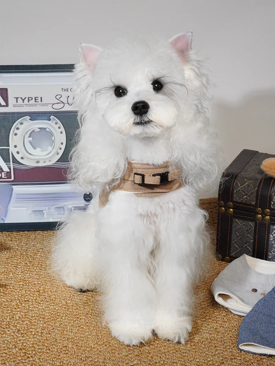 下期试穿官选这个胸背怎么样？