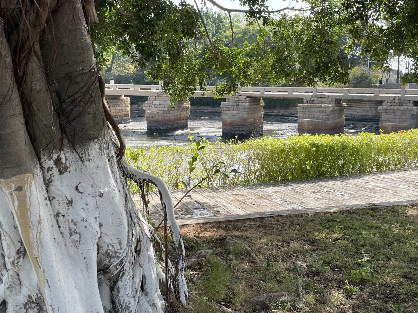 五里桥风景，怎么样，有没有一股画中诗的感觉