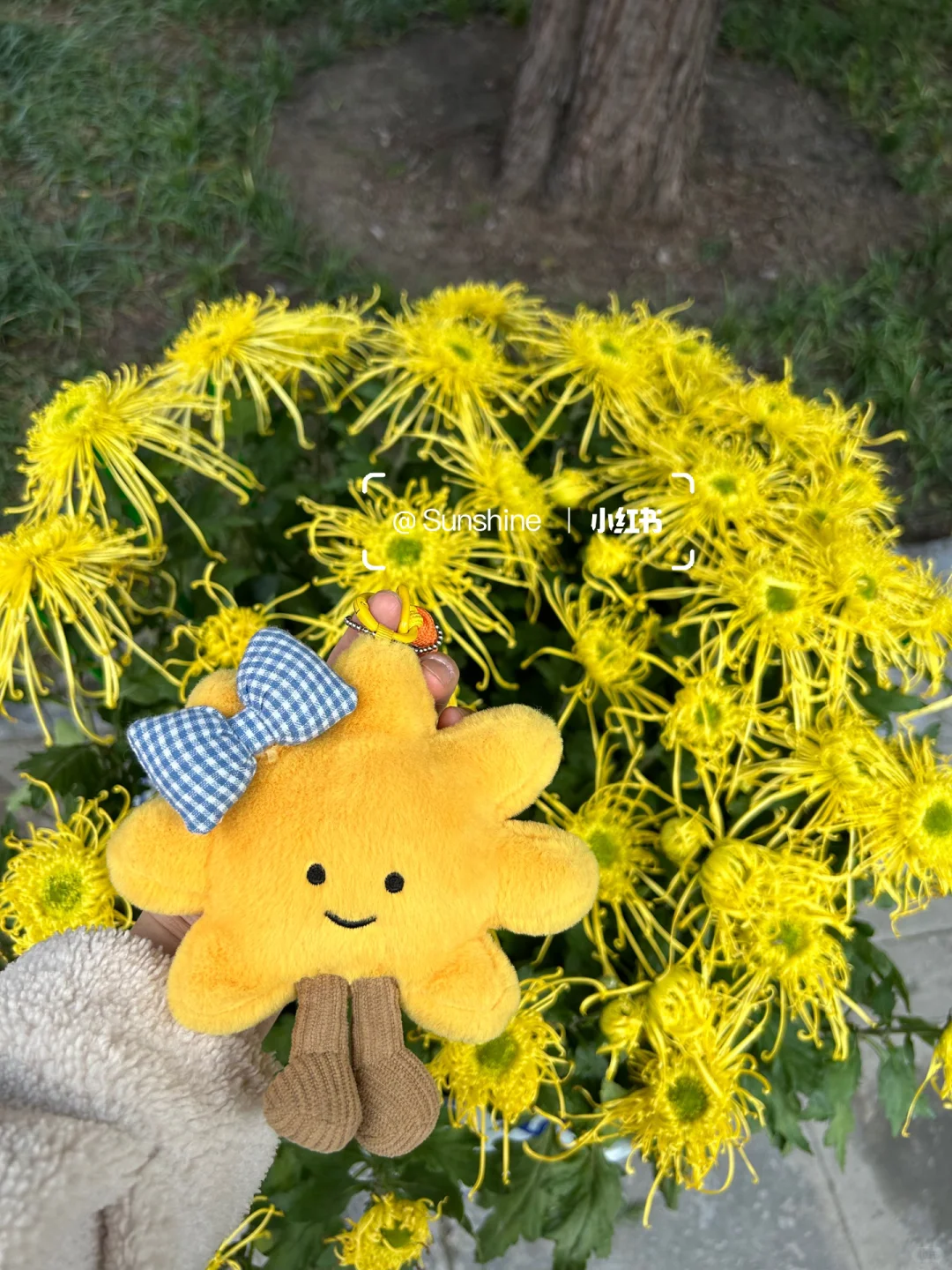 妈妈问我为什么最近不emo了…