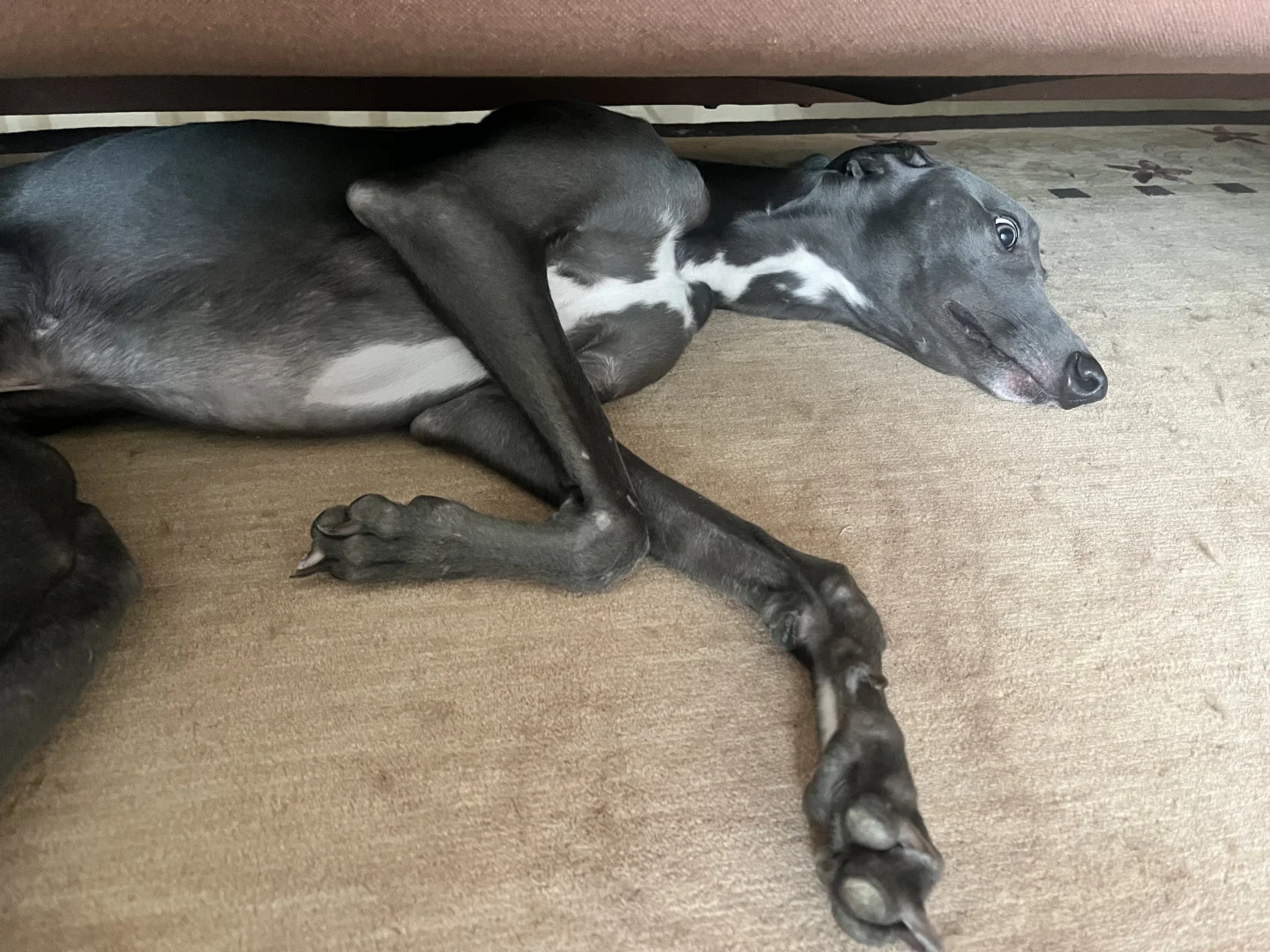 他是什么意思？