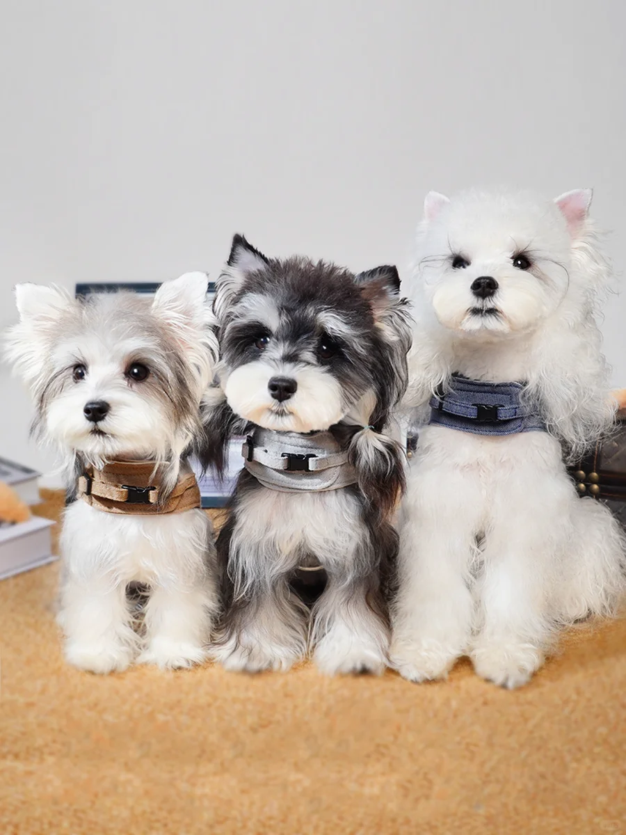 下期试穿官选这个胸背怎么样？