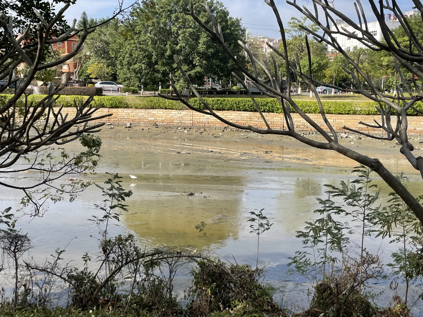 五里桥风景，怎么样，有没有一股画中诗的感觉