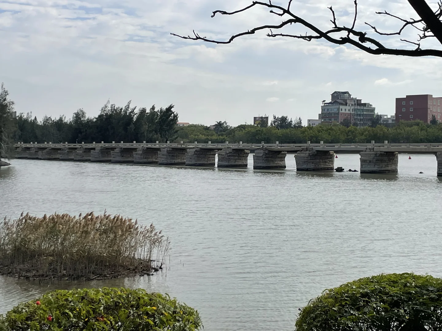 五里桥风景，怎么样，有没有一股画中诗的感觉