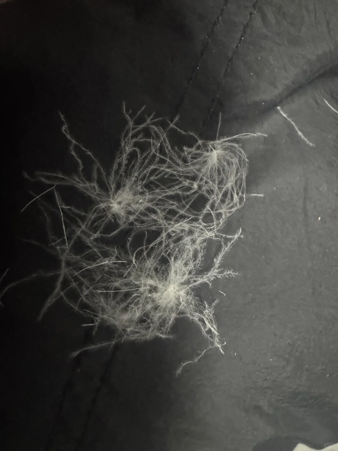 羽绒服这个绒怎么样，看洗标不太正规