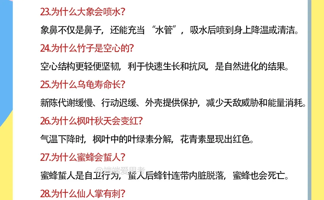 30题《十万个为什么》来啦🔥🔥