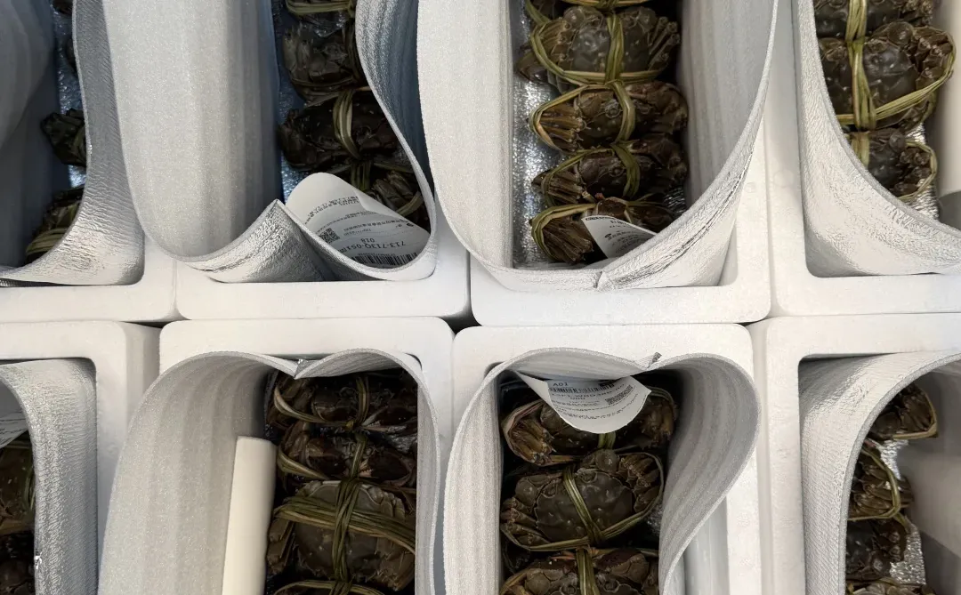 这么肥的残母蟹……😭为什么没有人知道