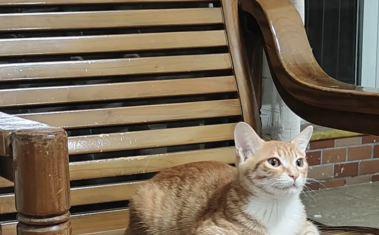 算了你们肯定觉得没意思吧