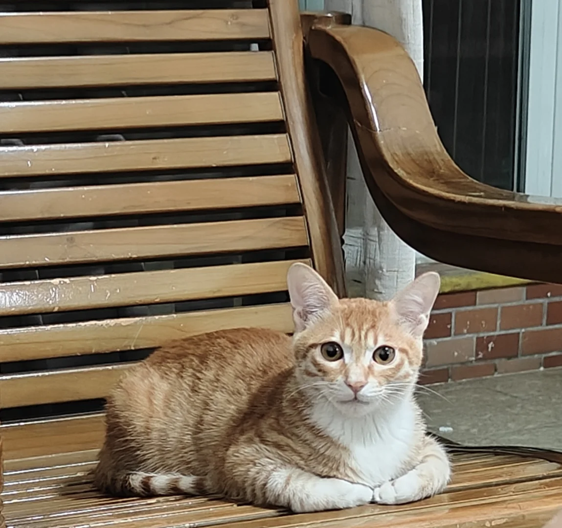 算了你们肯定觉得没意思吧