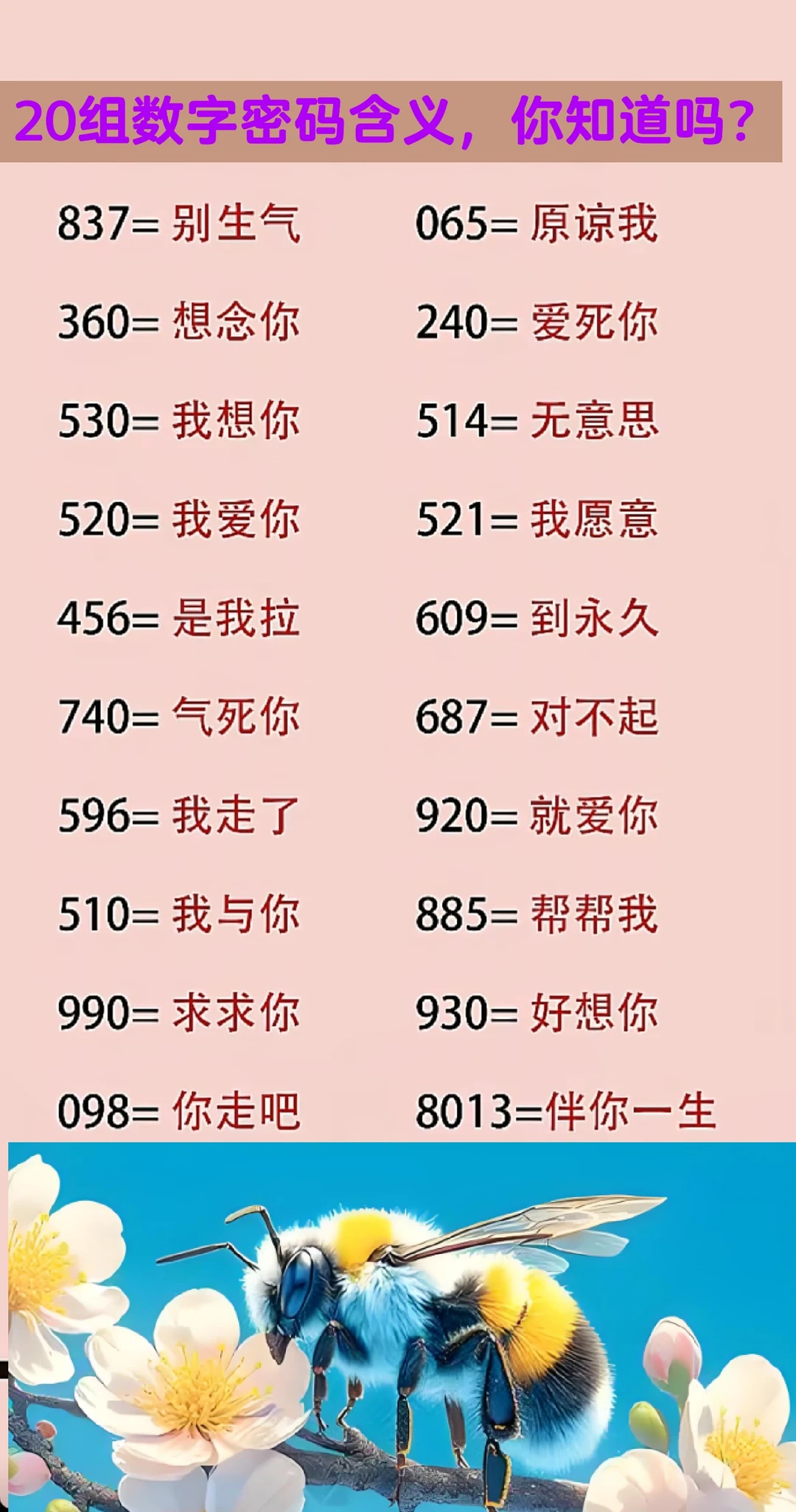 20组数字密码含义，你知道吗？