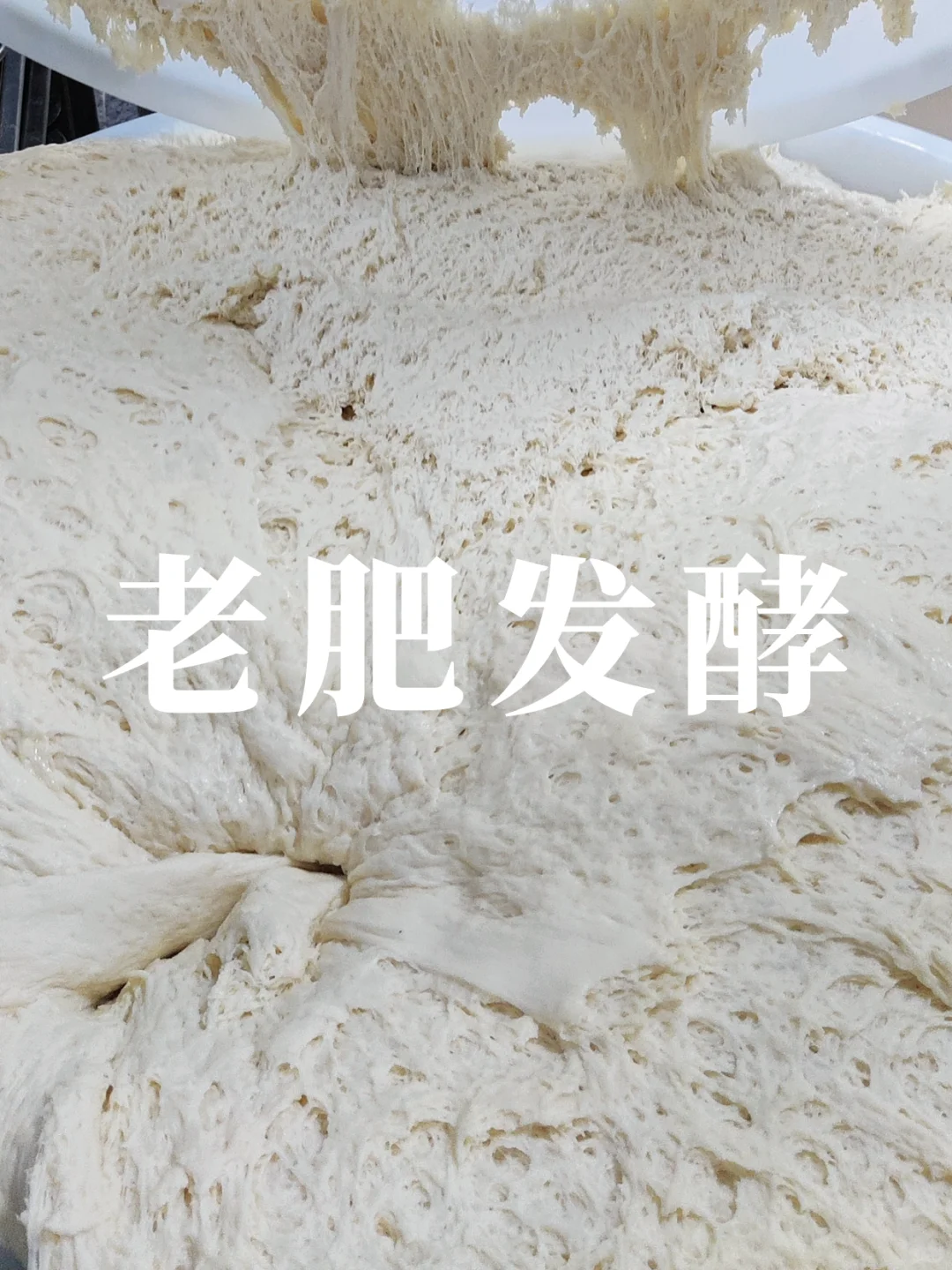 馒头为什么这么暄软？宫门口带你认识老肥！