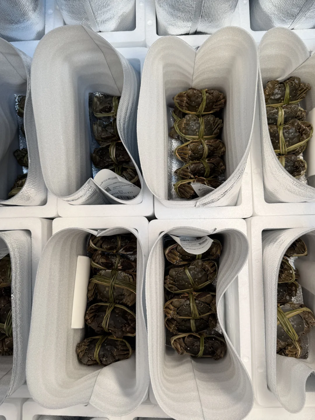 这么肥的残母蟹……😭为什么没有人知道