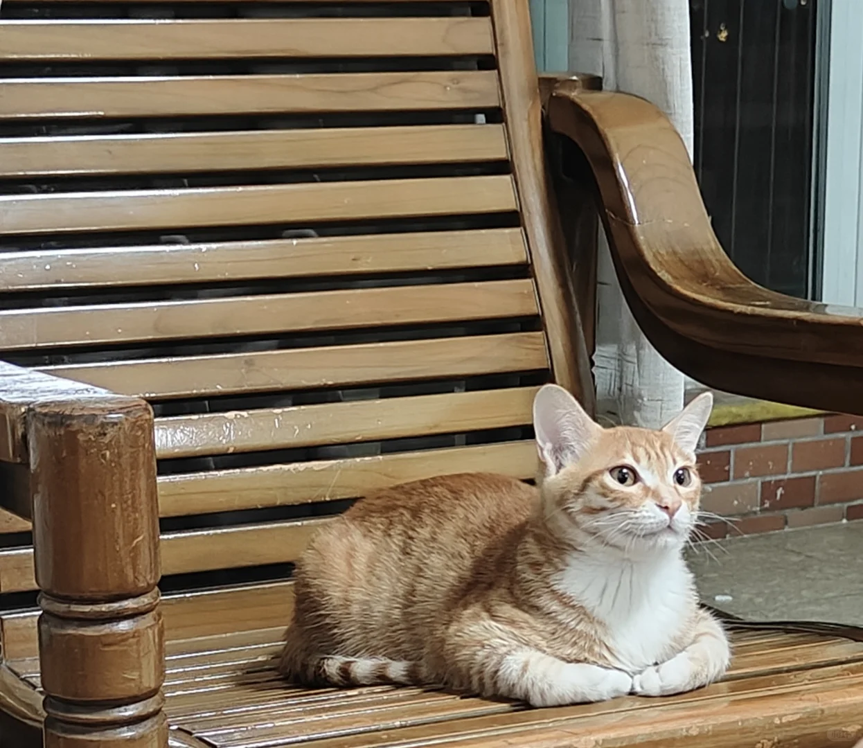 算了你们肯定觉得没意思吧