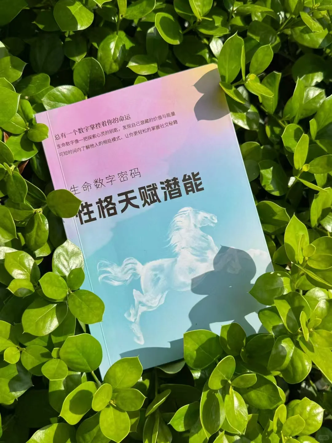 你为什么总容易选错人