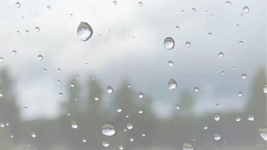 怎么样才可以走出失恋