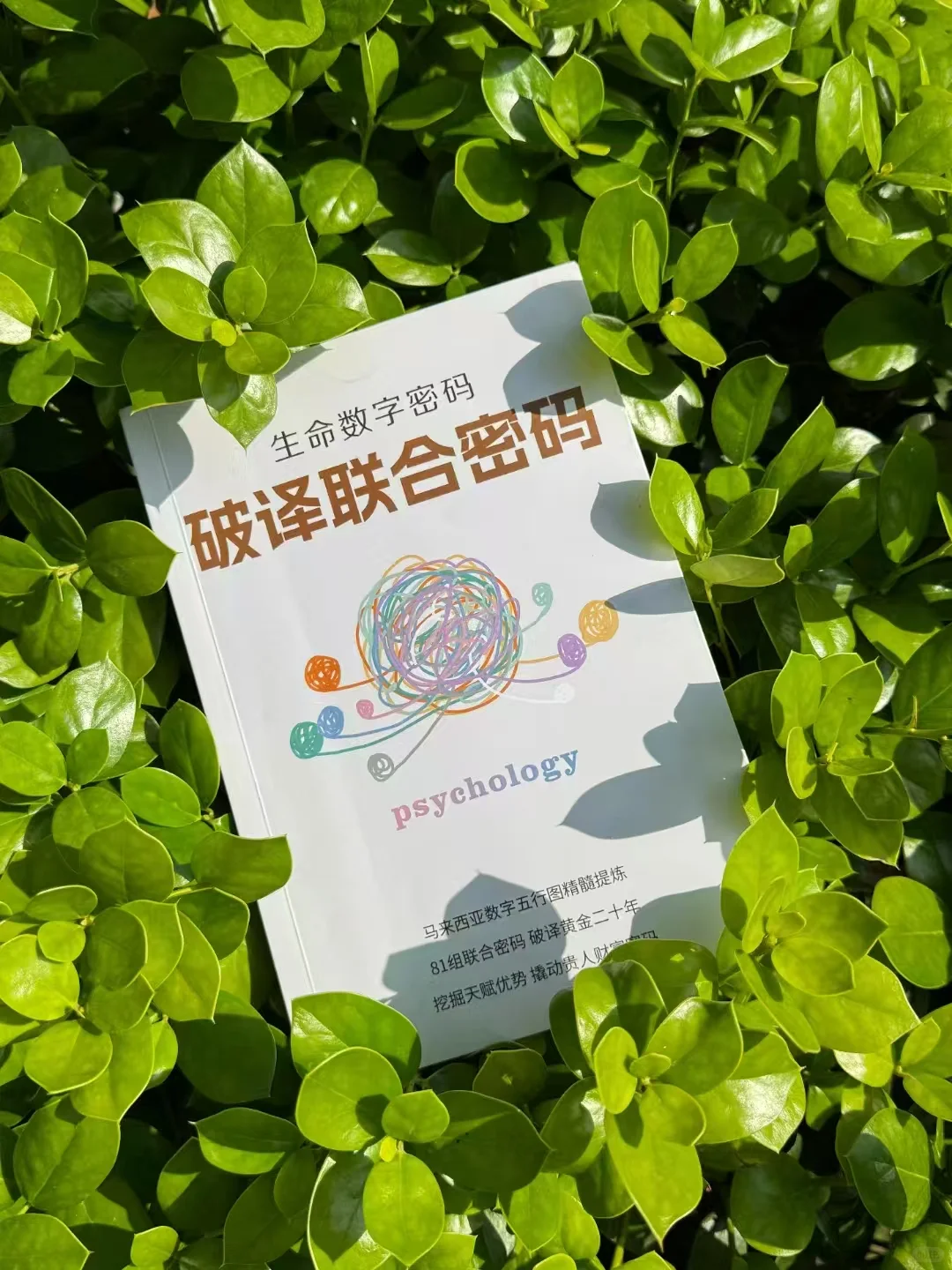 你为什么总容易选错人