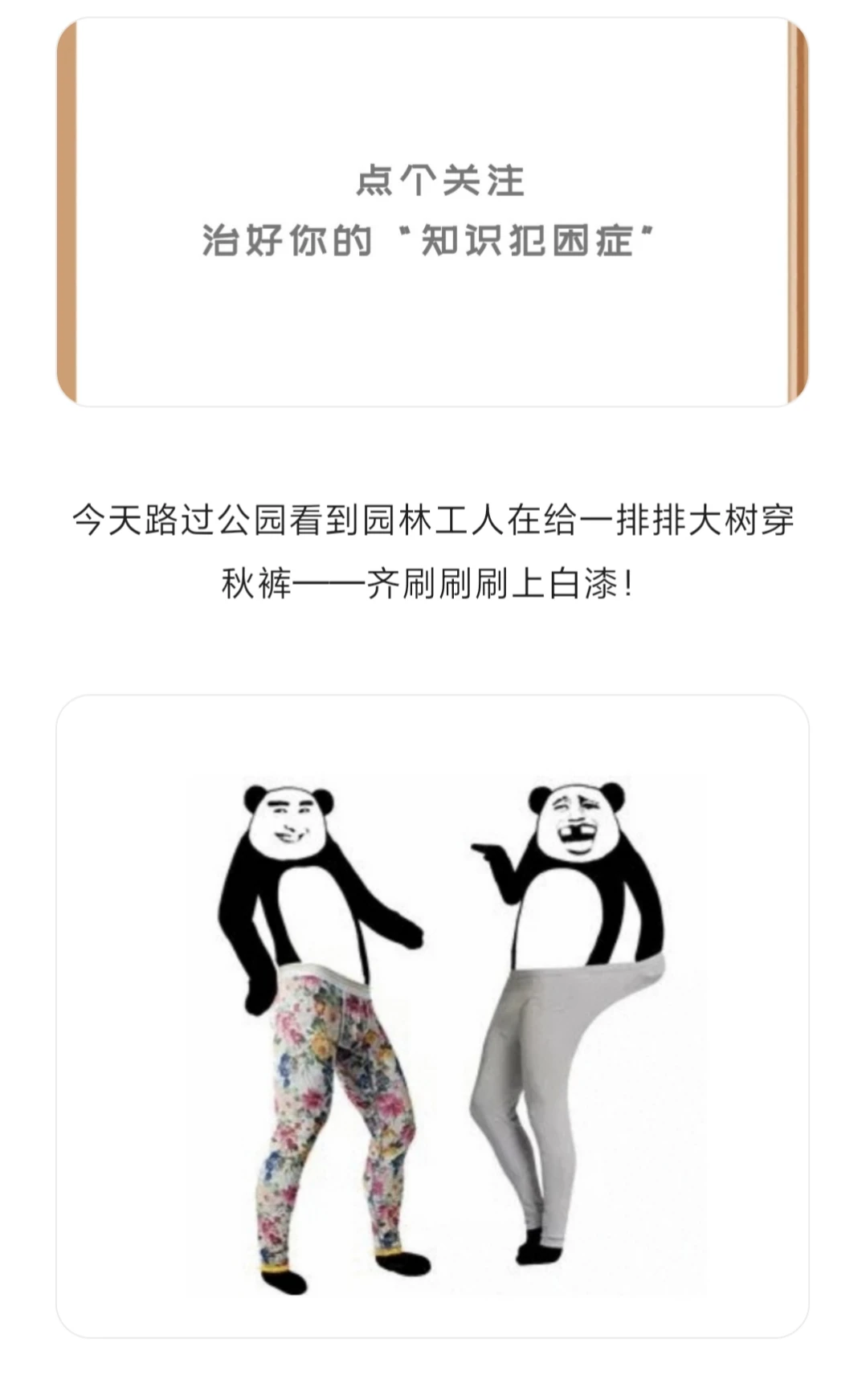 为什么冬天要给树干刷白？