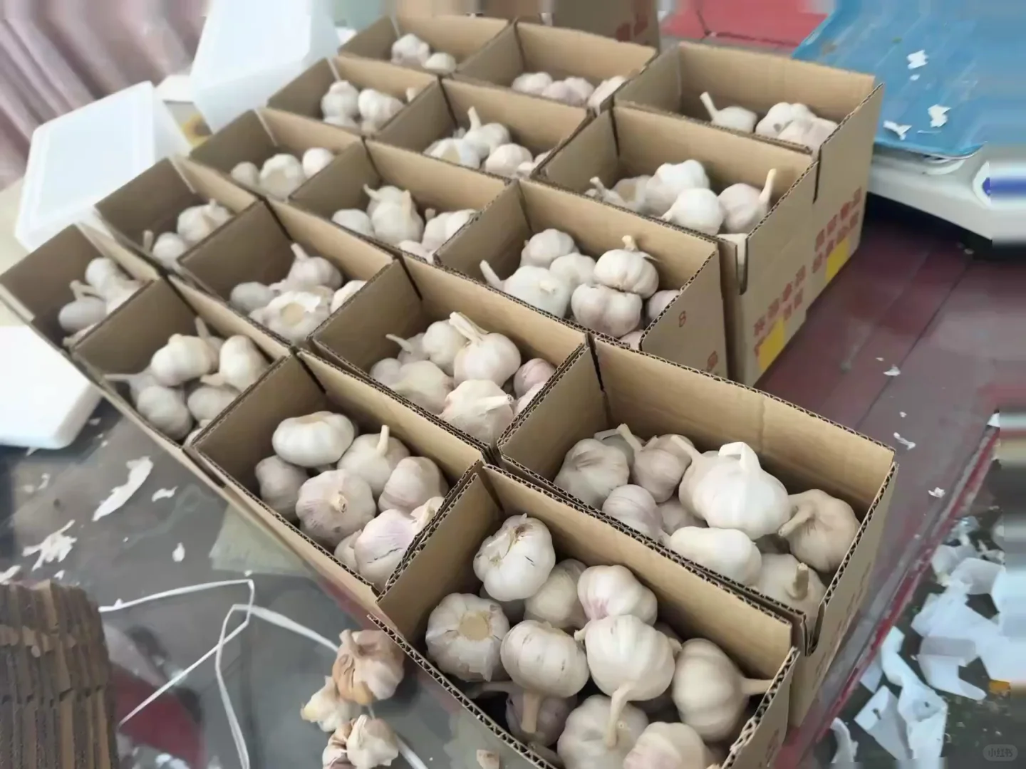 自家大蒜大家看看品质怎么样🧄～