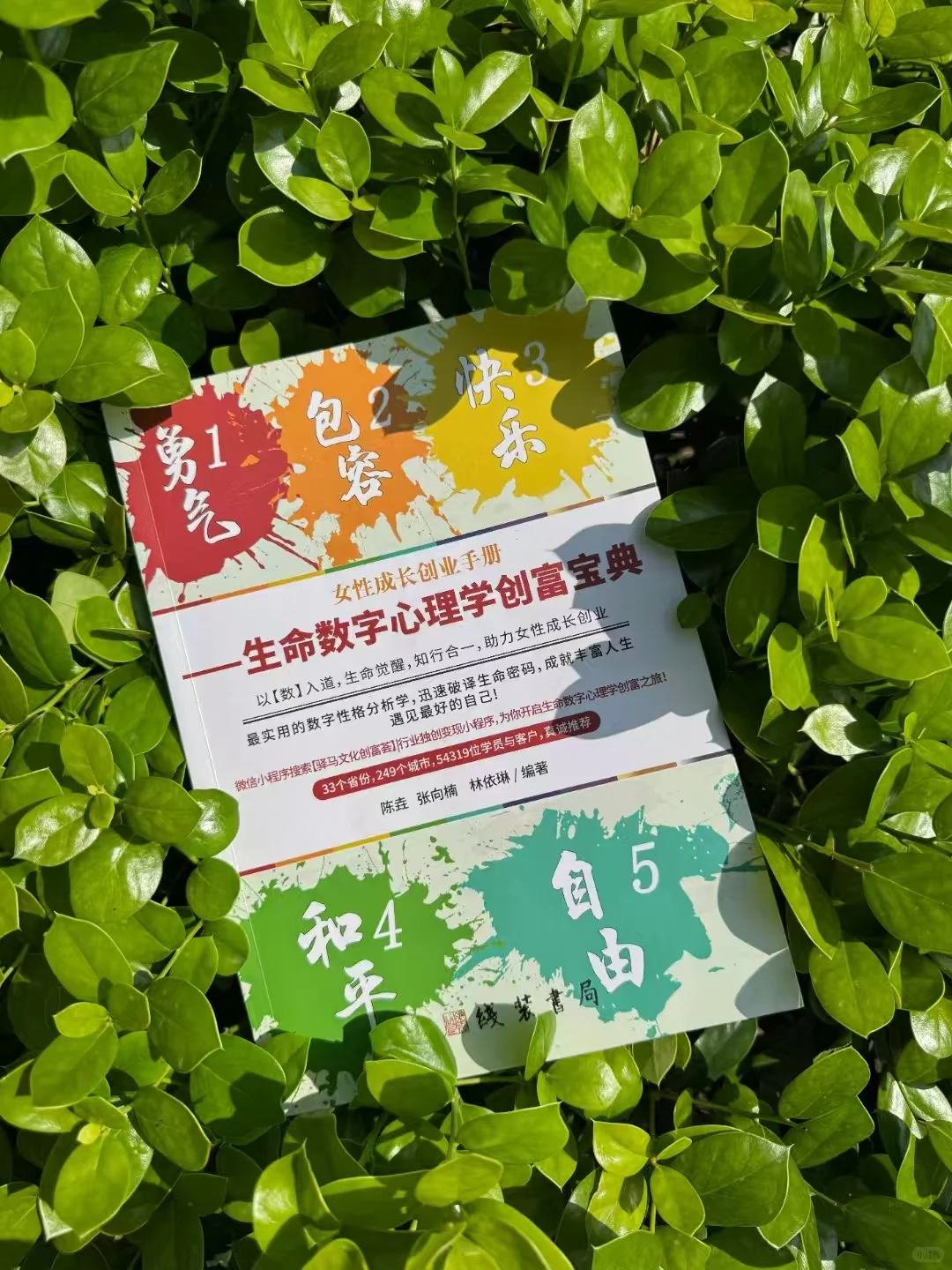 你为什么总容易选错人