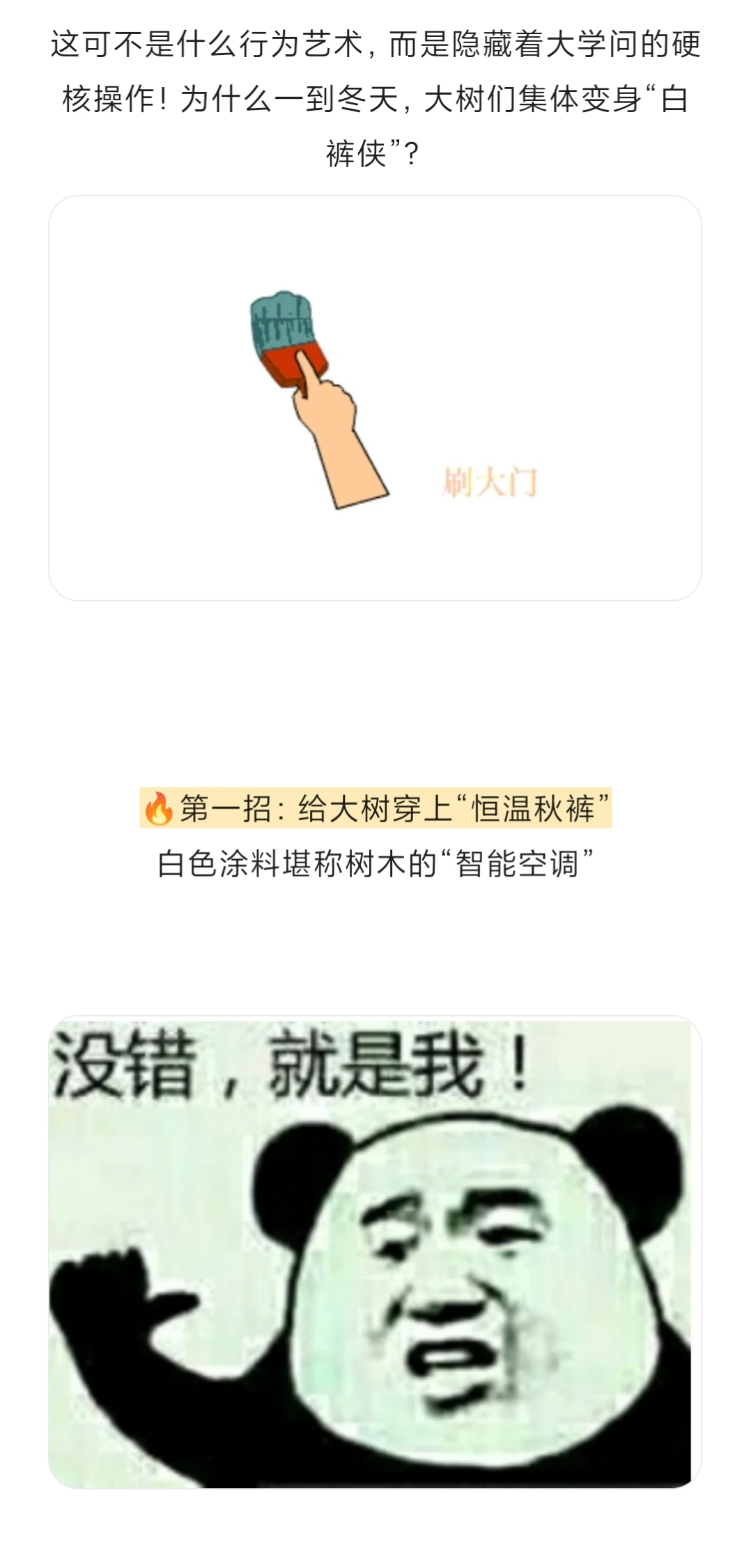 为什么冬天要给树干刷白？