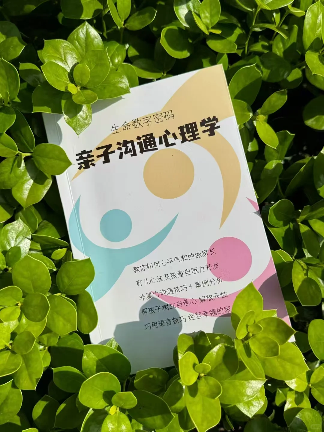 你为什么总容易选错人