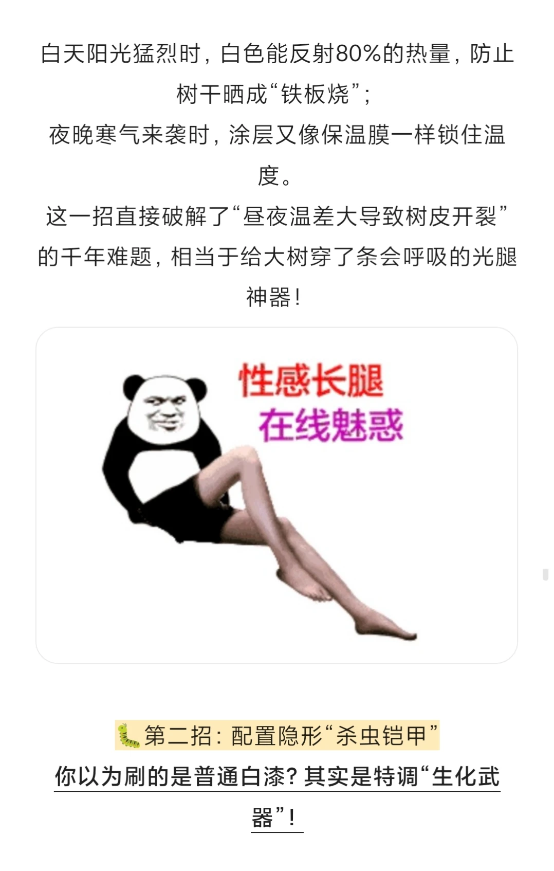 为什么冬天要给树干刷白？