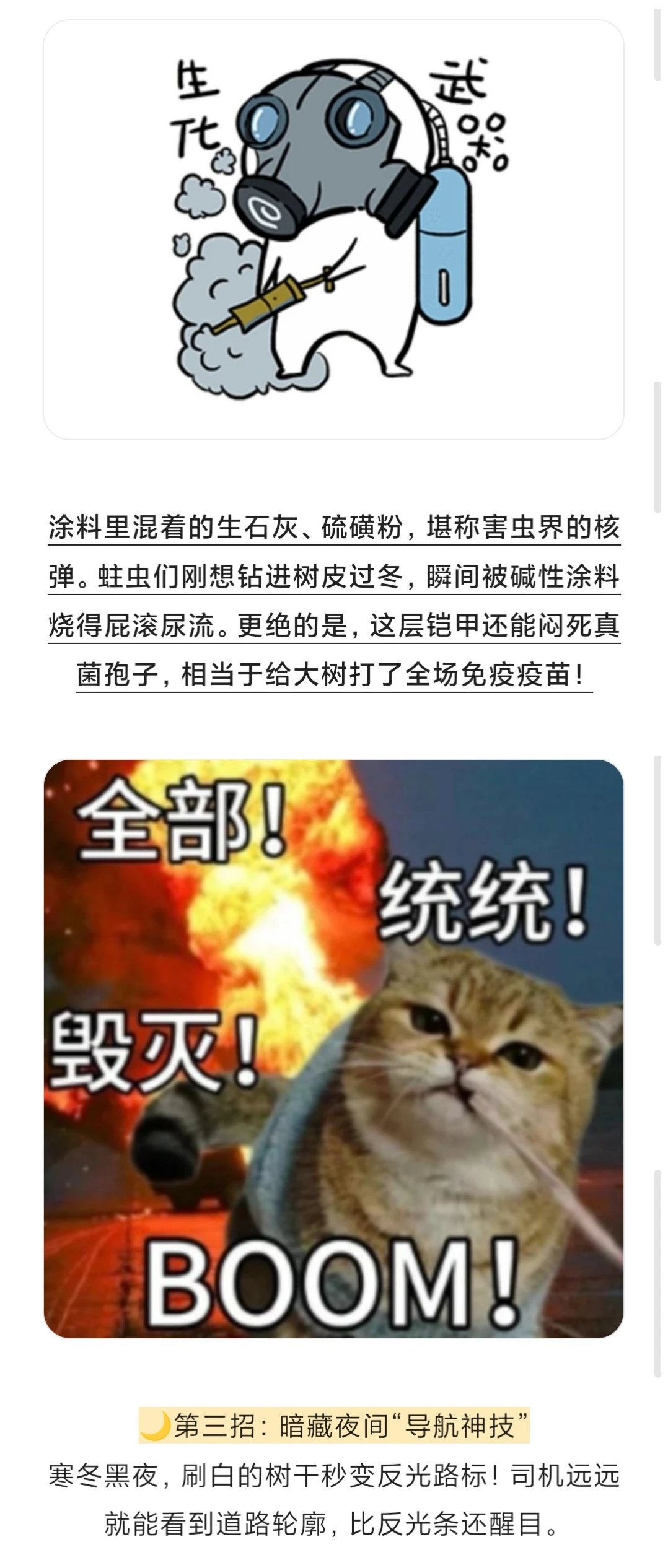 为什么冬天要给树干刷白？