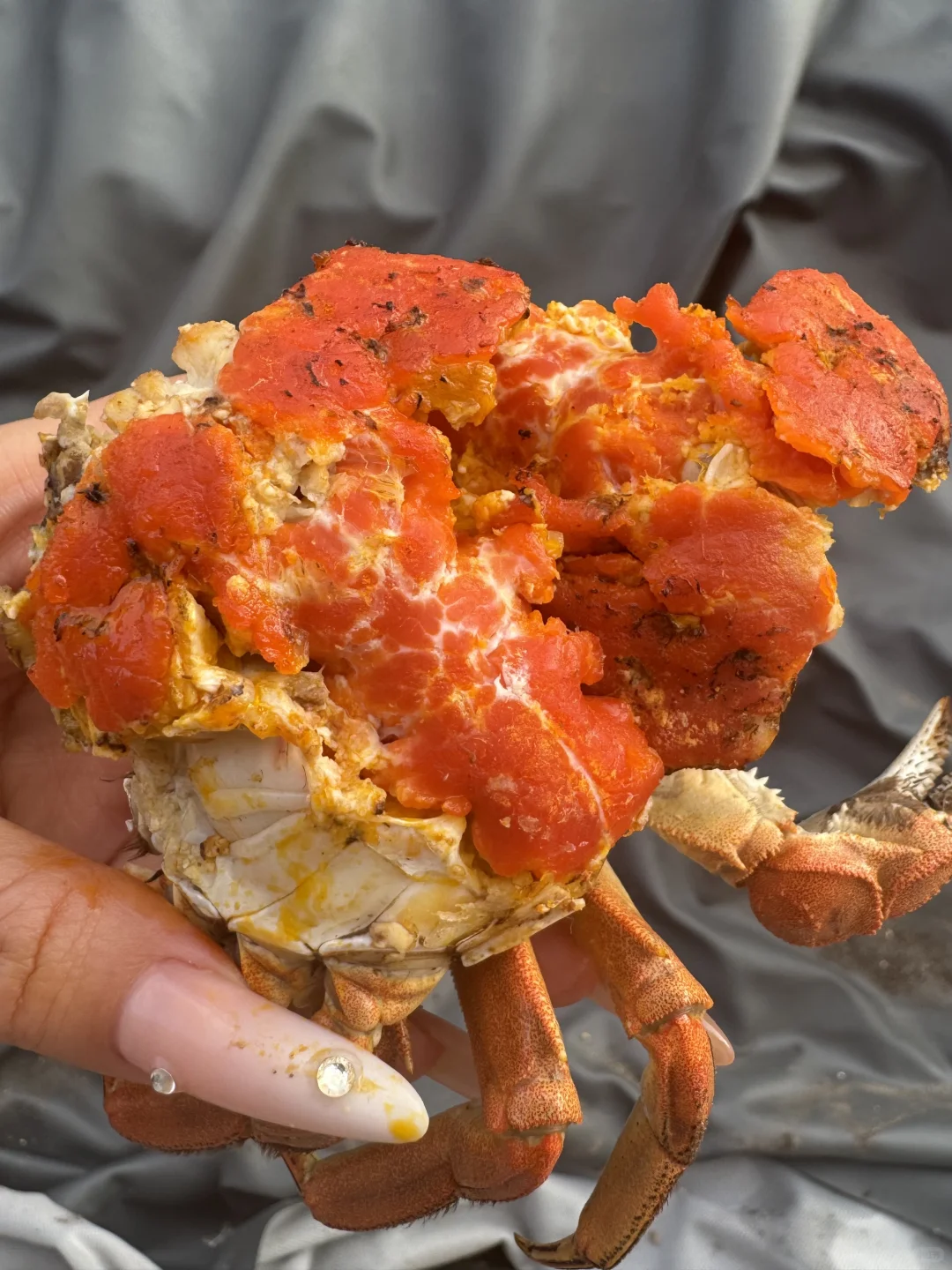 这么肥的残母蟹……😭为什么没有人知道