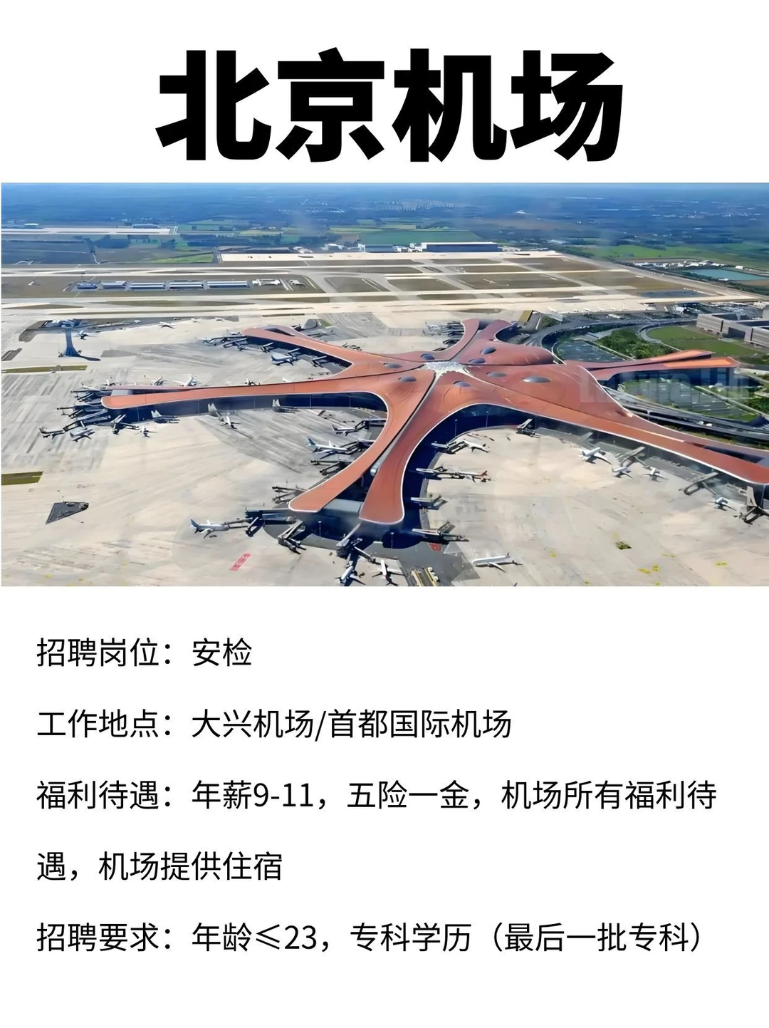 北京双机场专科最后一批招聘！