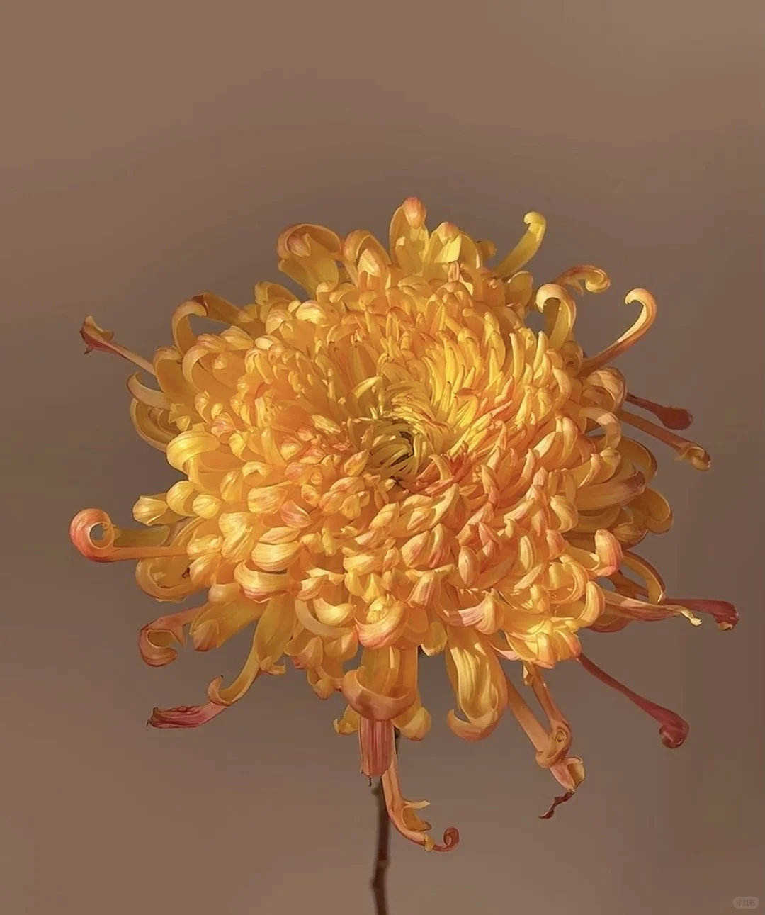 上海事业单位复旦大学综合管理岗做推荐