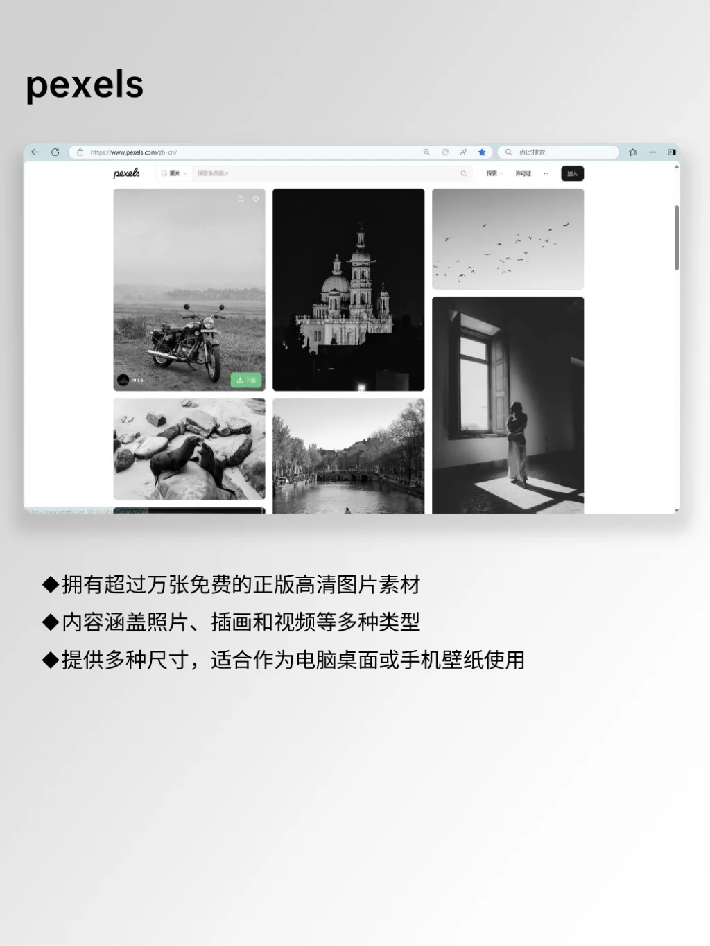 嘎嘎好用6️⃣个免费I高清I无版权图片素材