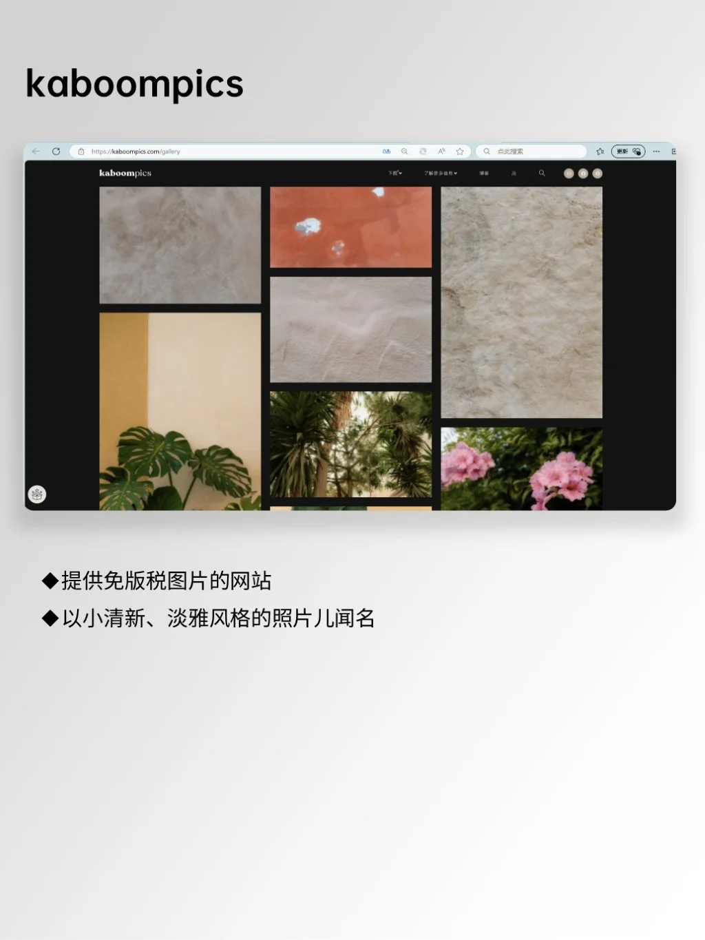 嘎嘎好用6️⃣个免费I高清I无版权图片素材