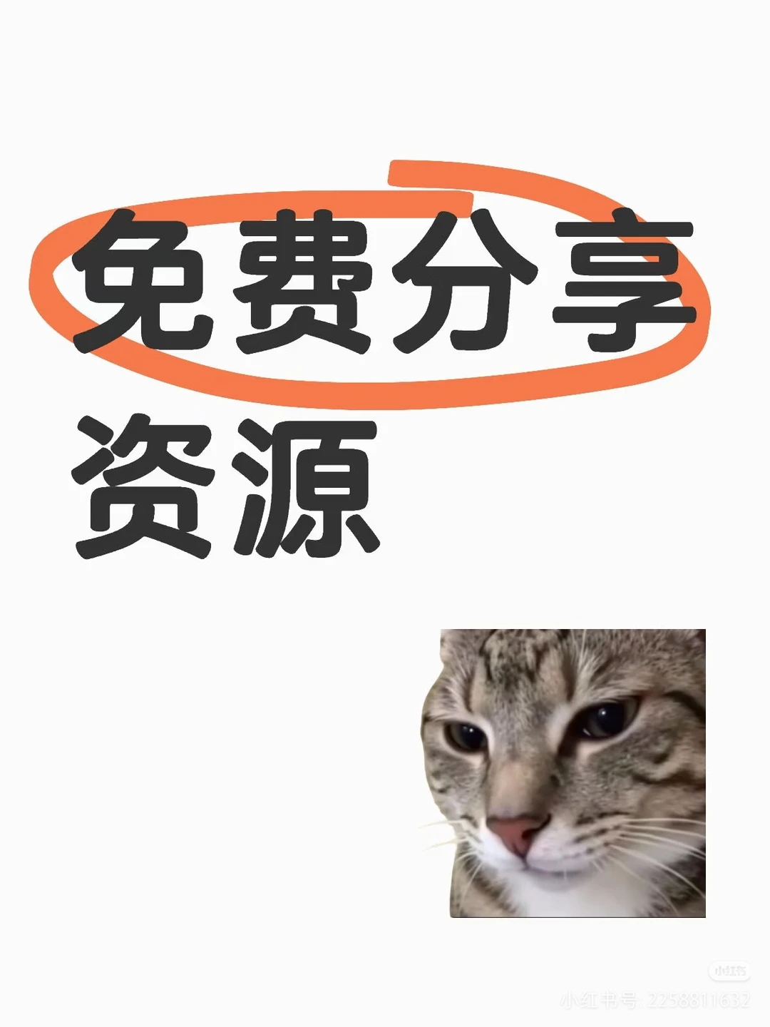 📚 免费分享资源，知识的海洋等你来探索