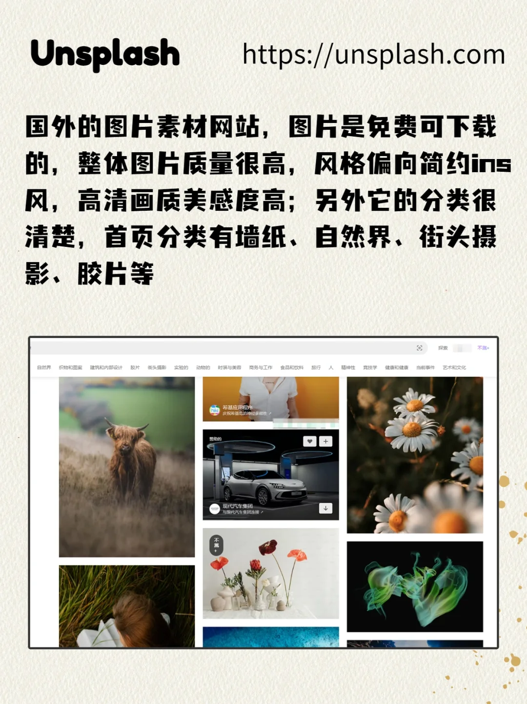 高清❗免费❗无版权图片素材网站分享