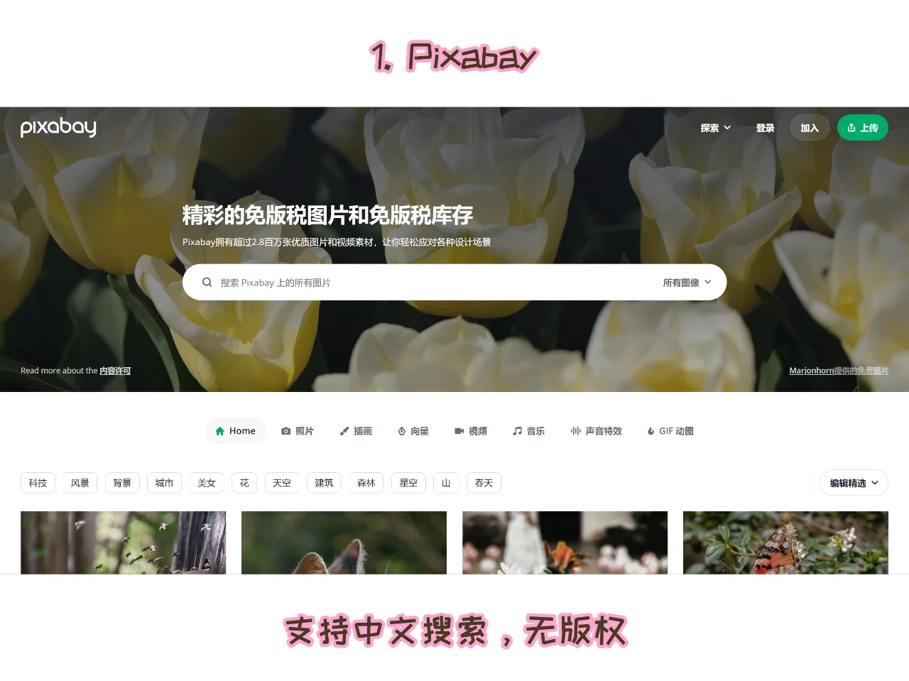 招投标达人都在用的7个图片网站，超实用！