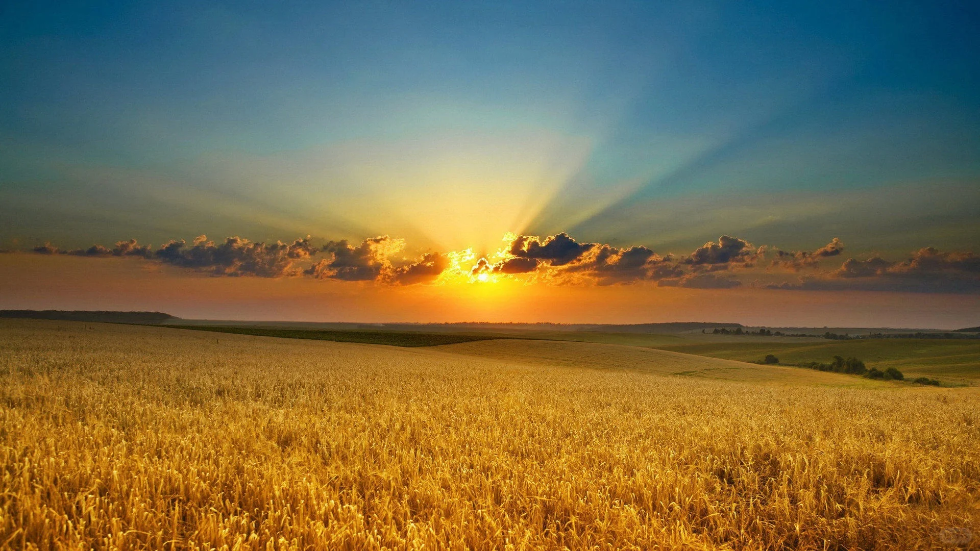 私藏！免费无版权图片网站分享