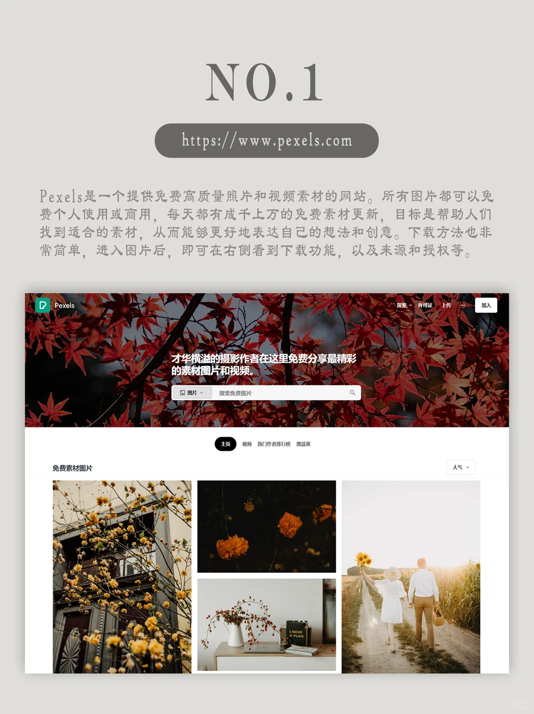 我常用的④款无版权可商用素材网站合集分享