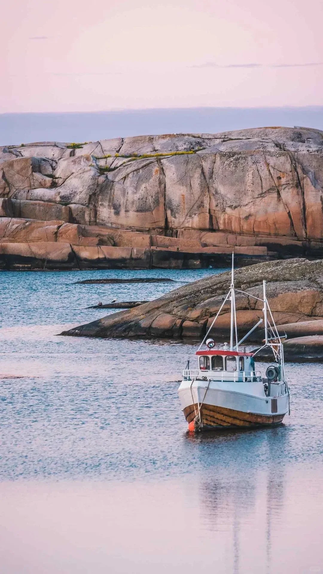 理想的地方，姐妹们随意下载