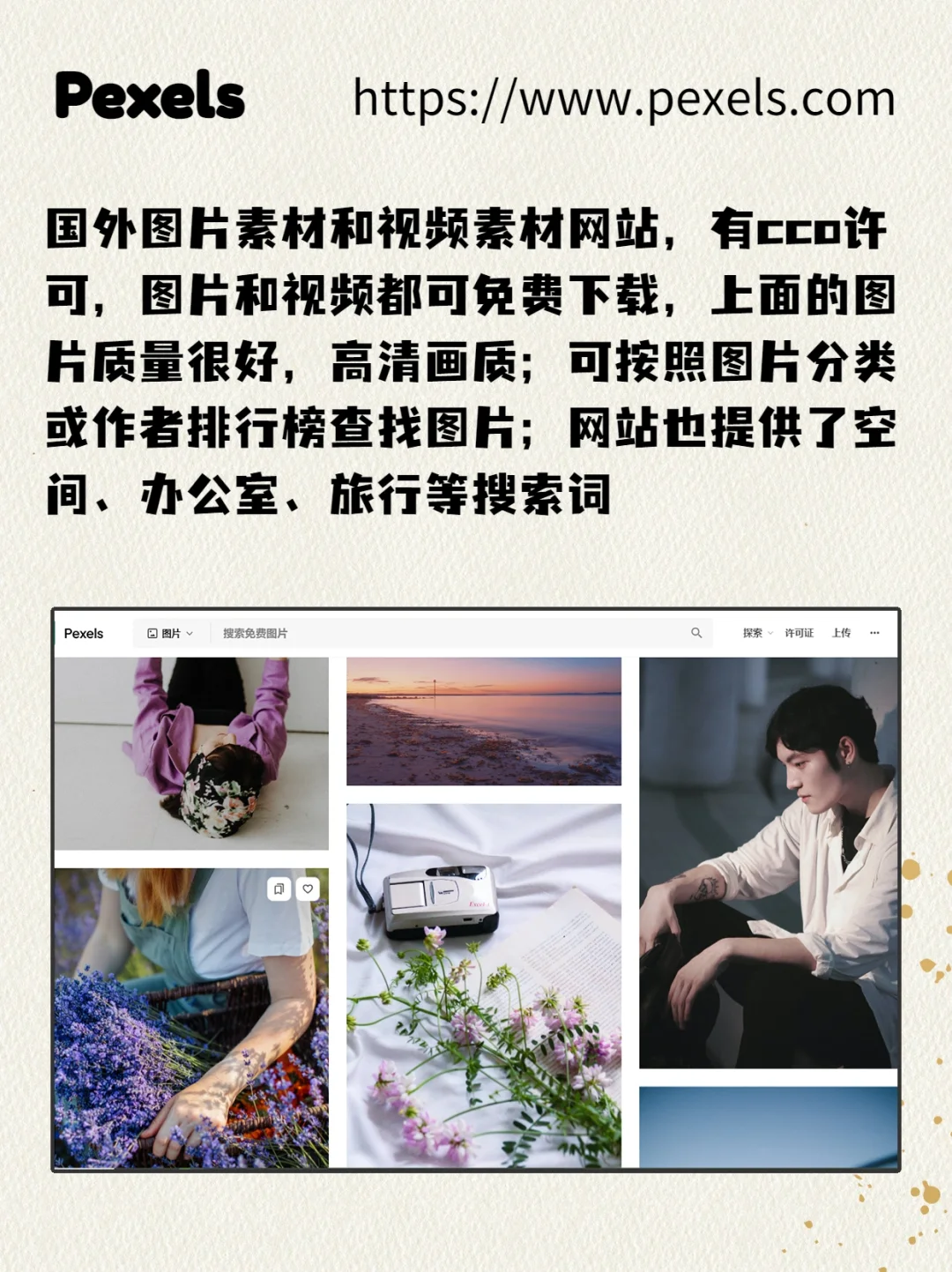 高清❗免费❗无版权图片素材网站分享