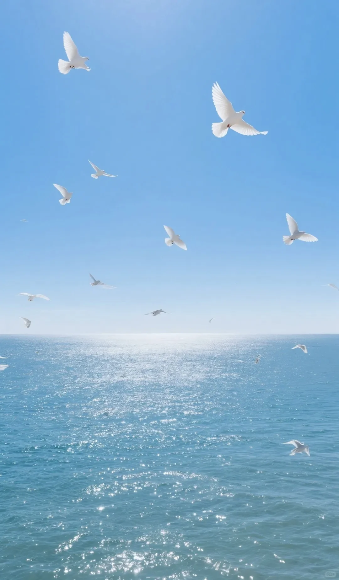 逆境中转运～每日好运