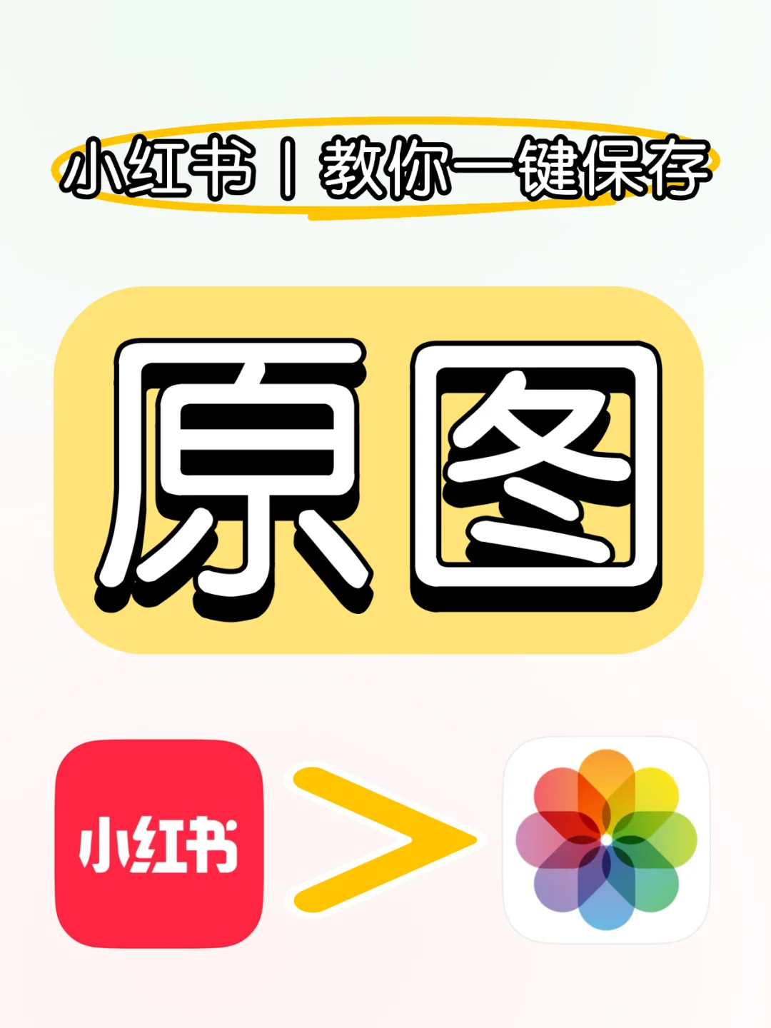 小红书原图保存新方法❗️这才是原图啊❗️