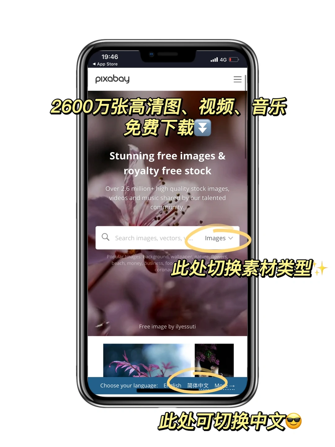 吹爆！2000万素材免费！看到就赚到的宝藏✨