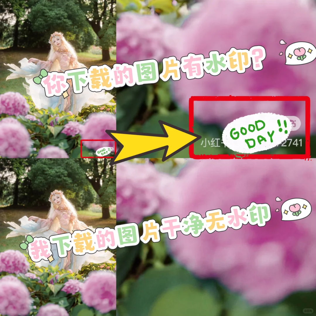 无水印原图下载方法