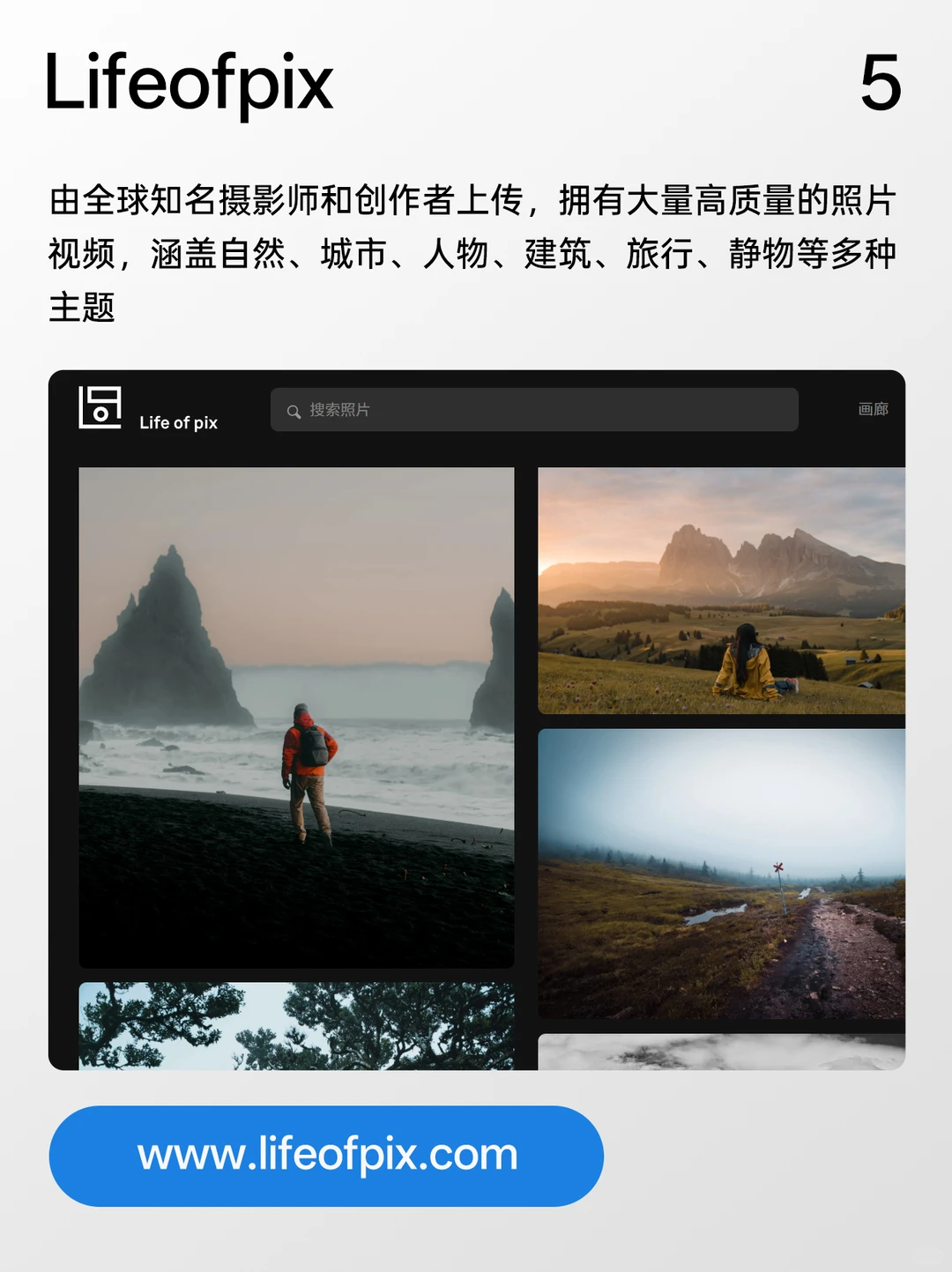 告别版权困扰！八个宝藏无版权图片网站